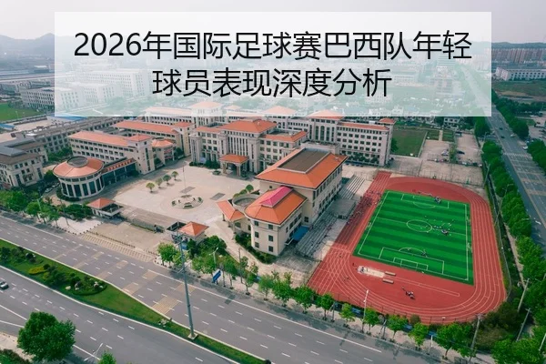 2026年国际足球赛巴西队年轻球员表现深度分析