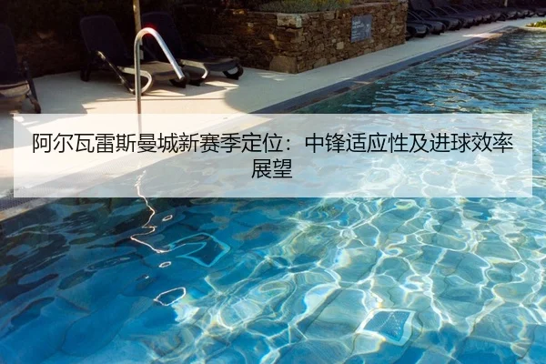 阿尔瓦雷斯曼城新赛季定位：中锋适应性及进球效率展望