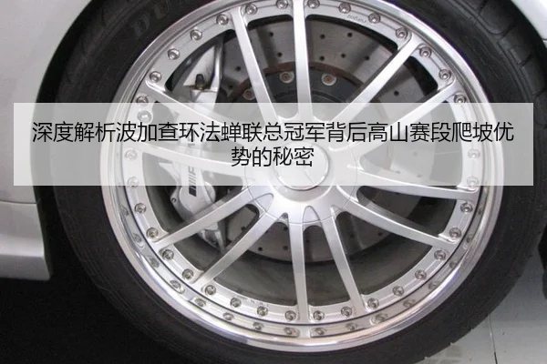 深度解析波加查环法蝉联总冠军背后高山赛段爬坡优势的秘密