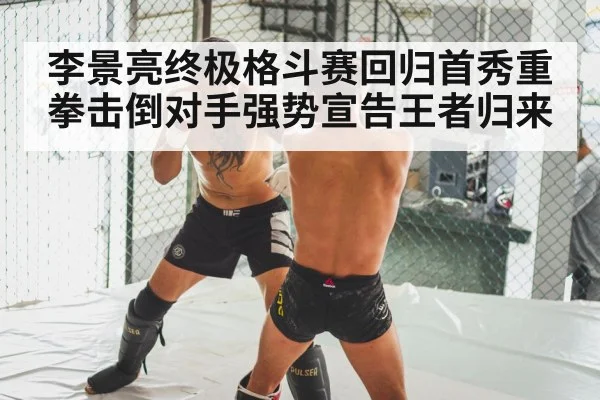 MMA knockout punch